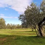 Дом отдыха Casa Bumbara
