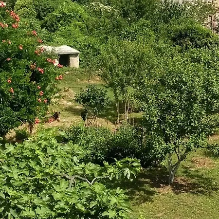 Casa vacanze Casa Bumbara Vodnjan